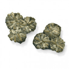 Зелений чай Три сливи Діамантовий дракон пак. із фольги 100 г Зелений чай Три сливи Діамантовий дракон пак. із фольги 100 г